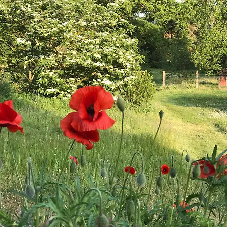 Familienhaus Feriehus *